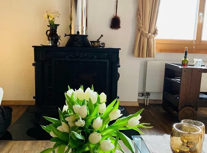 Memory * 采尔马特